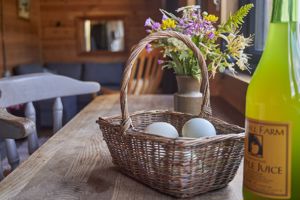 Cabin- click for photo gallery